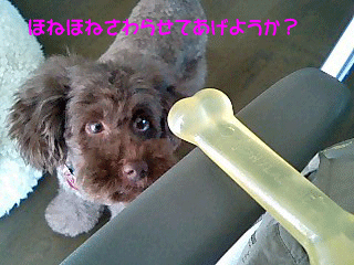 さわる