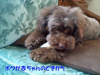 赤ちゃん