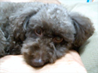 ゆずくん、何考えてるの?