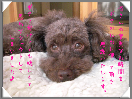 シャウト