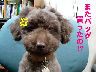 �ޤ��Хå�