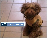 犬ブログランキング