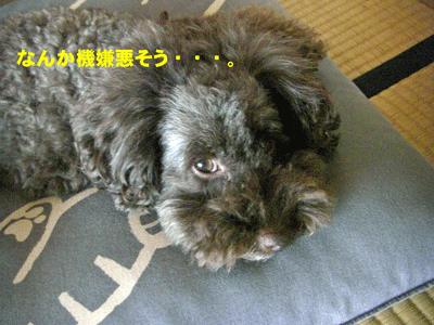 なんか