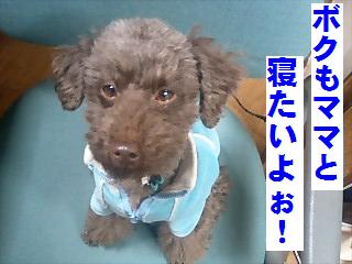 �ޥޤȿ������Ǥ���