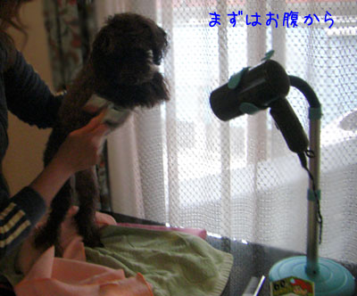 お腹