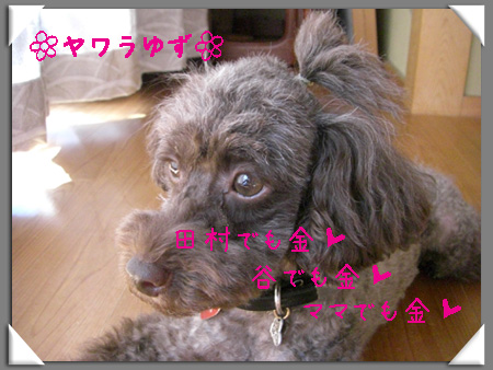 金金金