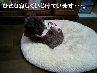 �椺��