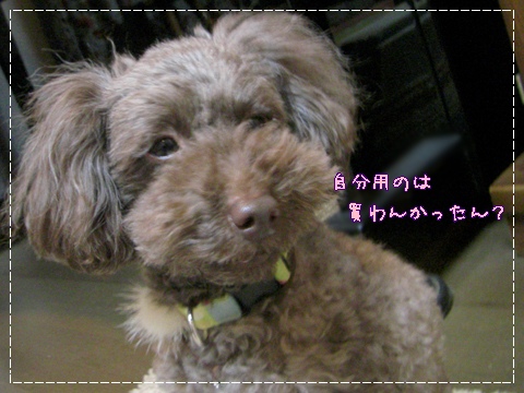 �椺