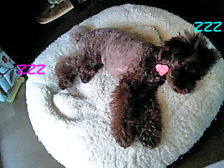 ZZZ