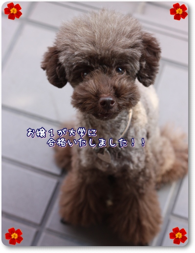 �ȥ��ס��ɥ롡�椺��