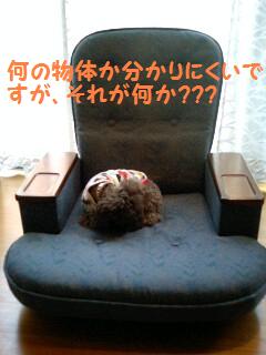 �椺��