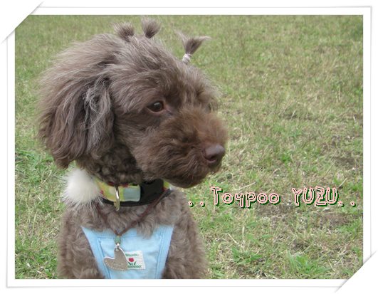 �ȥ��ס��ɥ�椺