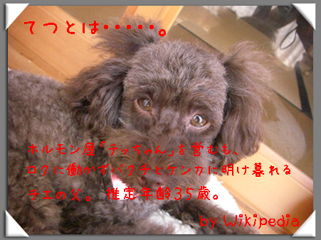 てつとは・・・
