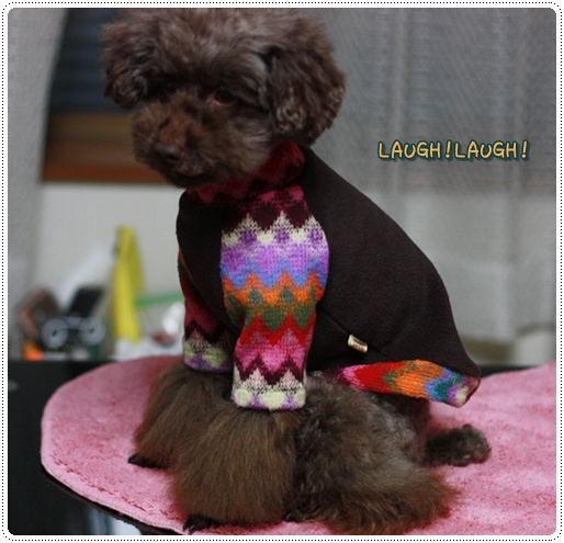�ȥ��ס��ɥ롡�椺������