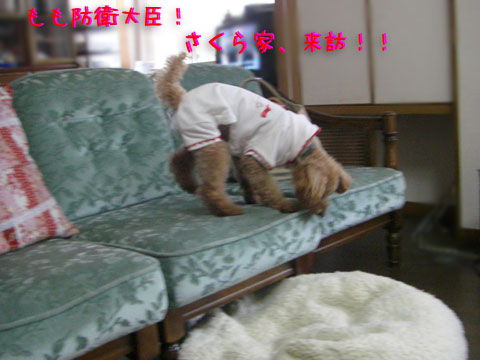 もも大臣