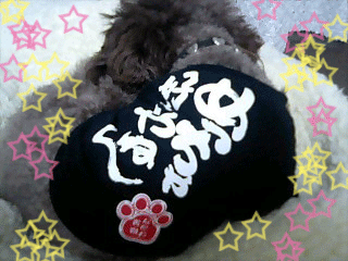 好き★