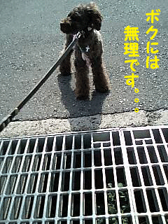無理