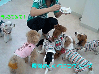 うしろ