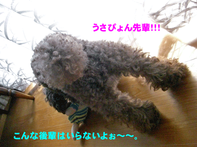 先輩