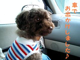 �֤ǥɥ饤�֡�