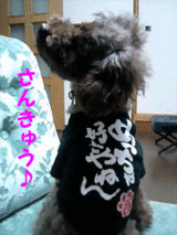 さんきゅう