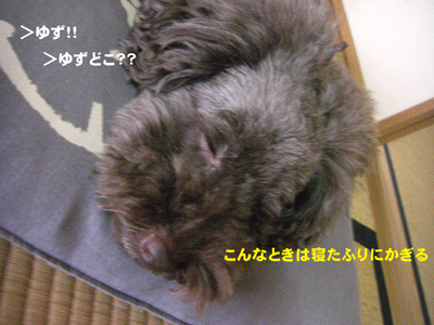 寝たふり