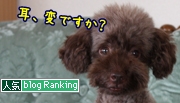 犬ブログランキング