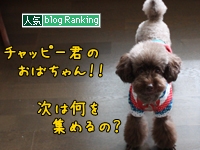 犬ブログランキング
