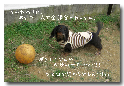 �Ҥȸ�