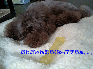 だんだん