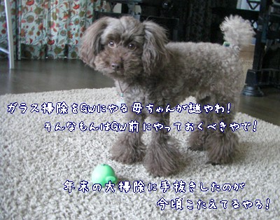 �椺