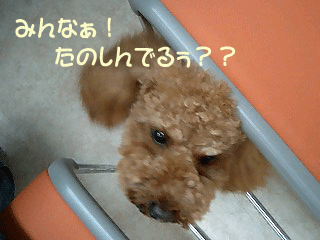 楽しんでる?