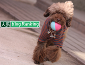 犬ブログランキング