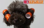 犬ブログランキング