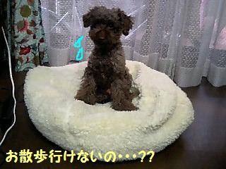 �Ԥ��ʤ�