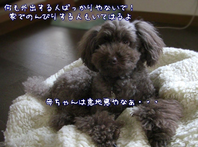 ゆず