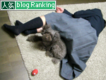 ブログランキング