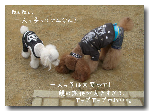 �ɤ�ʤ�