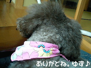 ありがとね