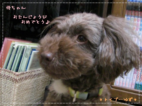 �椺