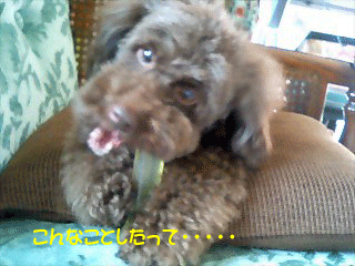 こんなこと