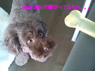 やめる