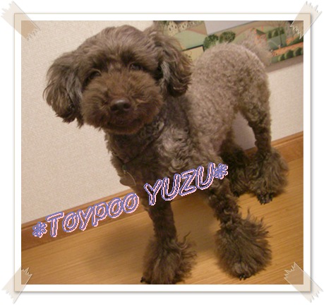 �ȥ��ס��椺