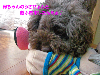 遊ぶところ