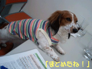まとめた