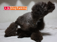 犬ブログランキング