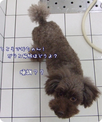 �椺
