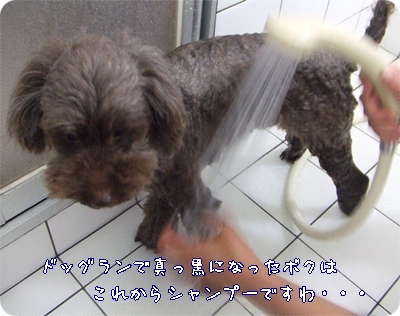 �椺