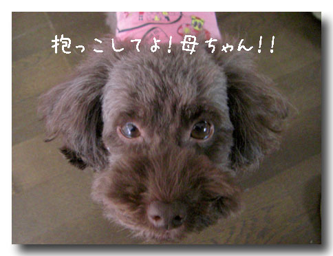 抱っこして