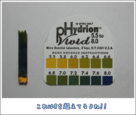 PH�����å���